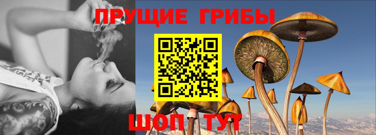 Псилоцибиновые грибы MAGIC MUSHROOMS  Вход с VPN  наркотики  Лангепас 
