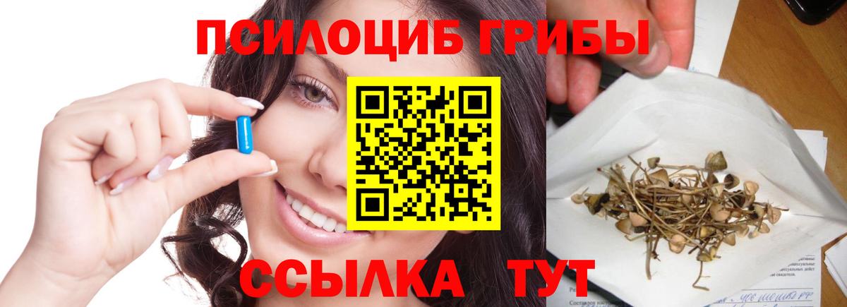Псилоцибиновые грибы Psilocybe Лангепас